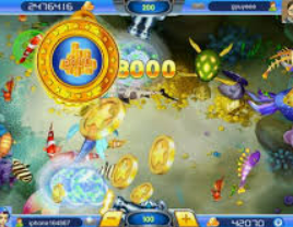 星空电竞app2024最新版