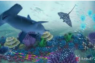 星空电竞app桌面版客户端